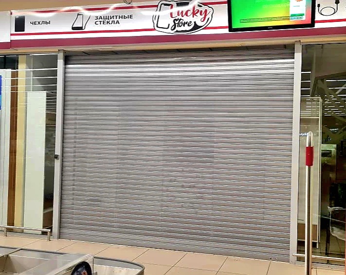 Роллетные ворота DoorHan в Пскове с установкой