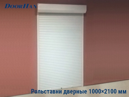 Рольставни на двери 1000×2100 мм в Пскове от 27049 руб.