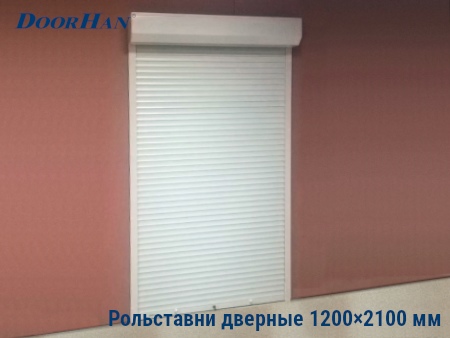 Рольставни на двери 1200×2100 мм в Пскове от 29795 руб.