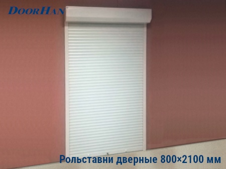 Рольставни на двери 800×2100 мм в Пскове от 24302 руб.